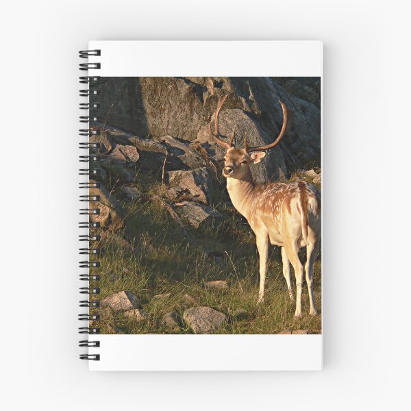 Item preview, The Deer designed and sold by Gisele Bedard.