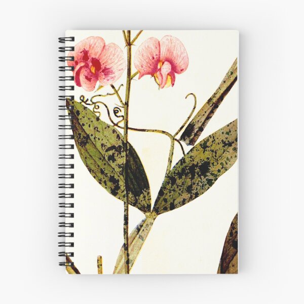 Item preview, pois de senteur/modern sweet peas designed and sold by clemfloral.