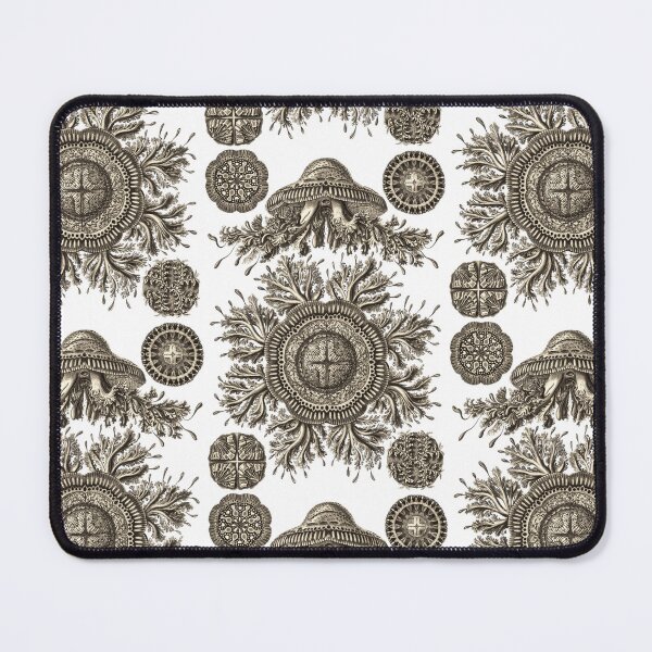 Item preview, Ernst Haeckel Jellyfish Kolpophorae Discomedusae Wenge designed and sold by aimeewilson.