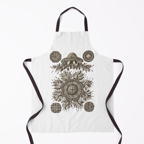 Item preview, Ernst Haeckel Jellyfish Kolpophorae Discomedusae Wenge designed and sold by aimeewilson.