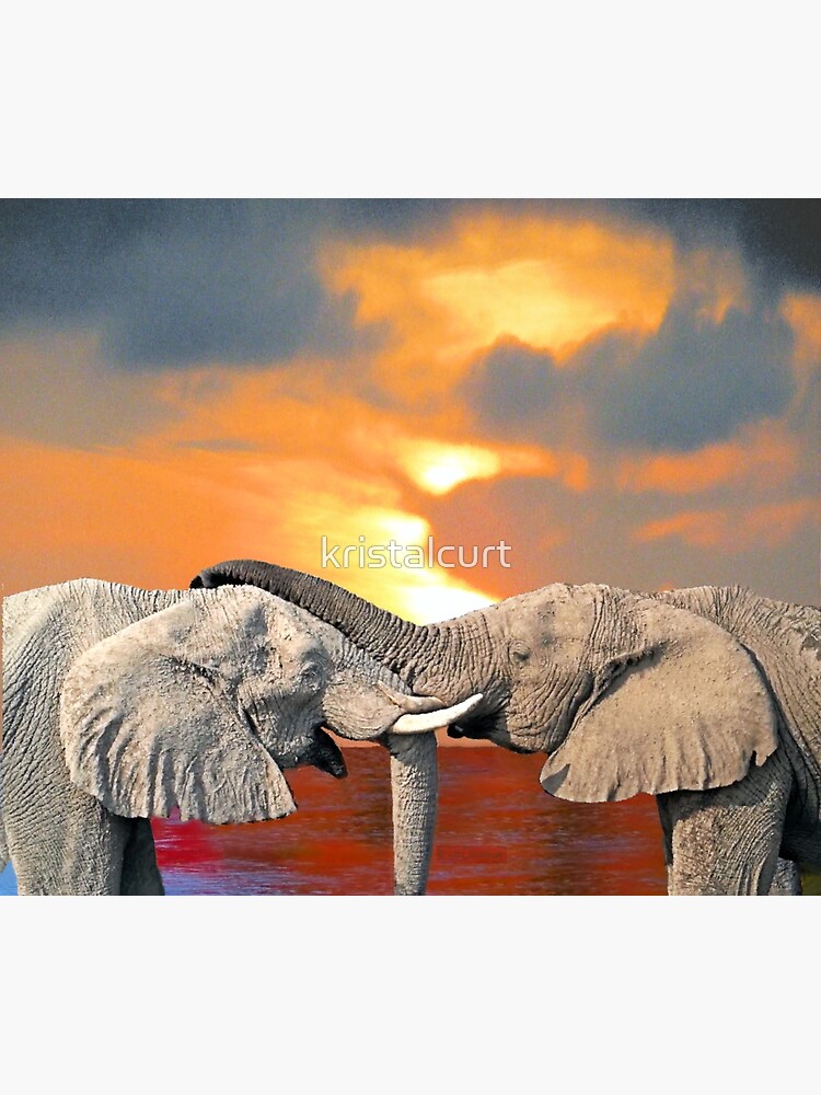 Affectionate Elephants by kristalcurt