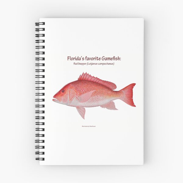 Item preview, Pargo rojo Florida con texto designed and sold by Paul Vecsei.