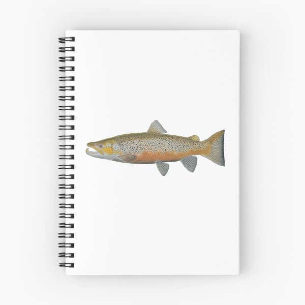 Item preview, Brown Trout (Salmo trutta) designed and sold by Paul Vecsei.
