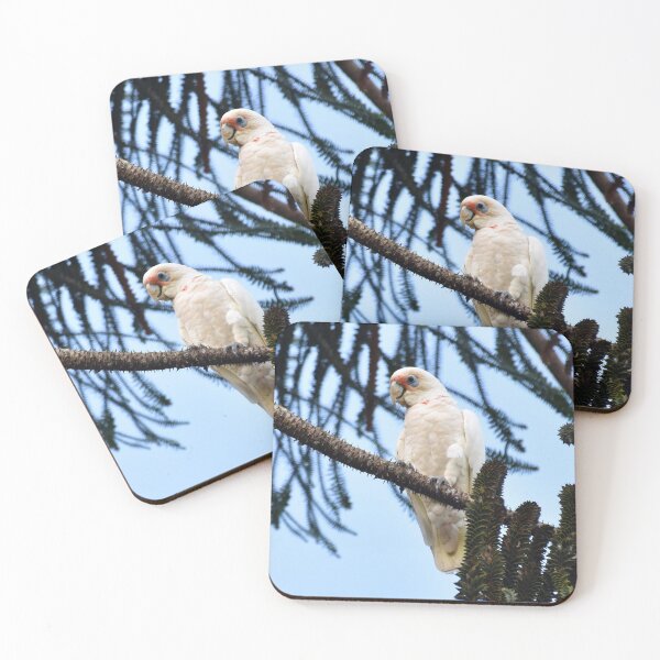 Item preview, Little Corella Photography designed and sold by Digitaldingo.