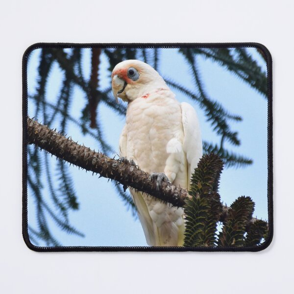 Item preview, Little Corella Photography designed and sold by Digitaldingo.