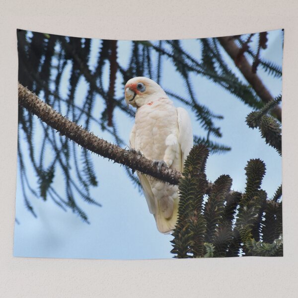 Item preview, Little Corella Photography designed and sold by Digitaldingo.