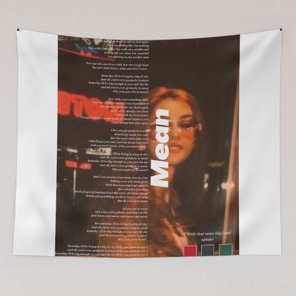 Item preview, Mean Taylor swift Speak now TV designed and sold by chocolatefood12.