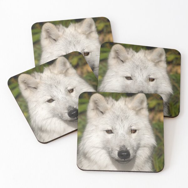 Item preview, Young wolf designed and sold by Gisele Bedard.