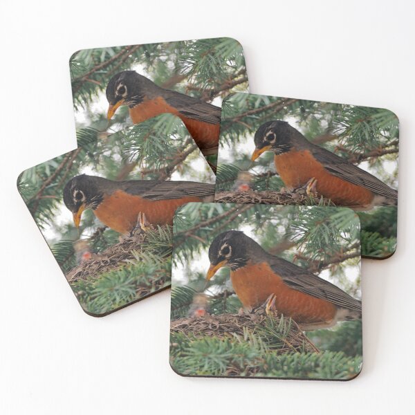 Item preview, Momma American Robin In Her Nest designed and sold by BackyardBirder.