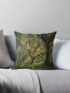Throw Pillow