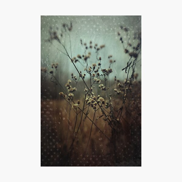 Grungy Wildflowers Photographic Print