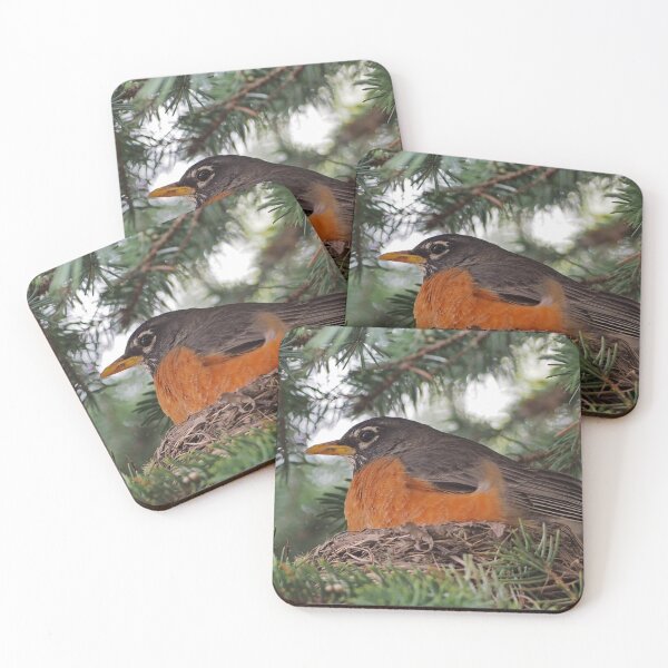 Item preview, American Robin In Her Nest designed and sold by BackyardBirder.