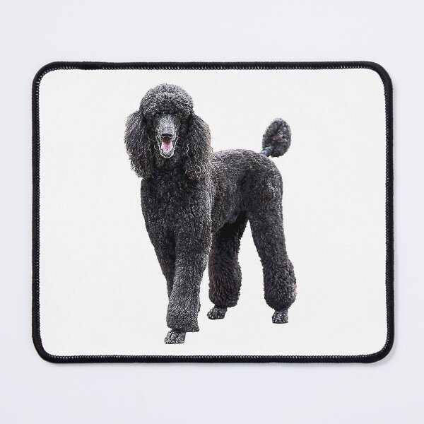 Item preview, Poodle Standard Black Cute elegant puppy dog designed and sold by ElegantCat.