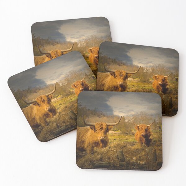 Item preview,  Heeland Coos... :)) designed and sold by Gisele Bedard.