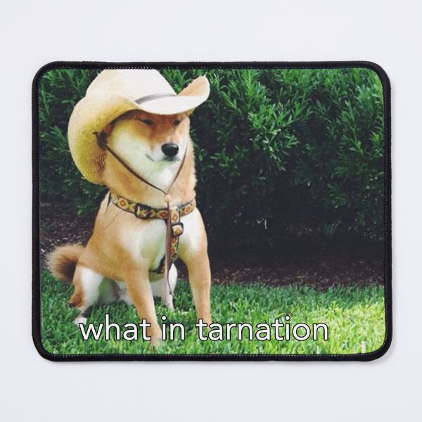 Item preview, What in Tarnation Dog designed and sold by Meme Economy.