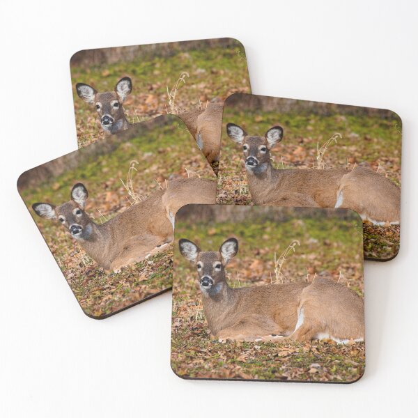 Item preview, White-tailed deer designed and sold by Brad Chambers.