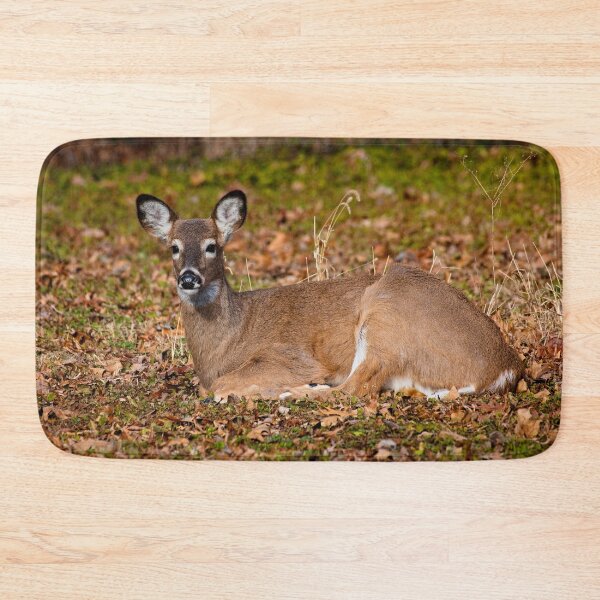Item preview, White-tailed deer designed and sold by Brad Chambers.