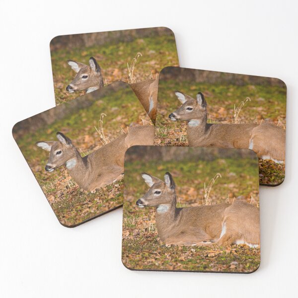 Item preview, White-tailed deer designed and sold by Brad Chambers.