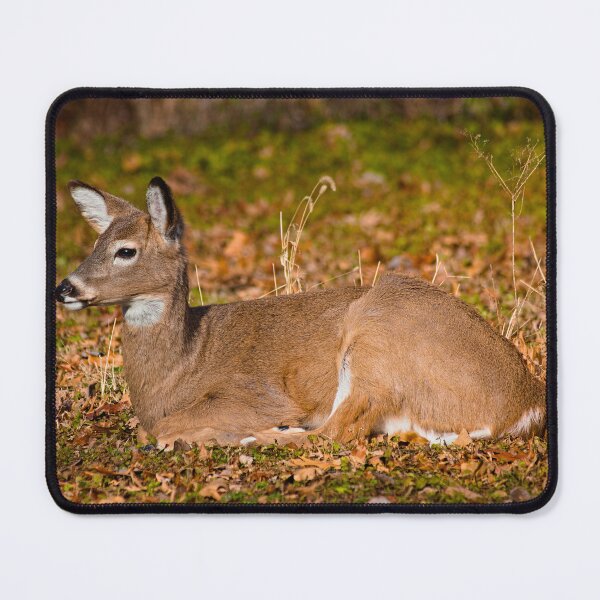 Item preview, White-tailed deer designed and sold by Brad Chambers.