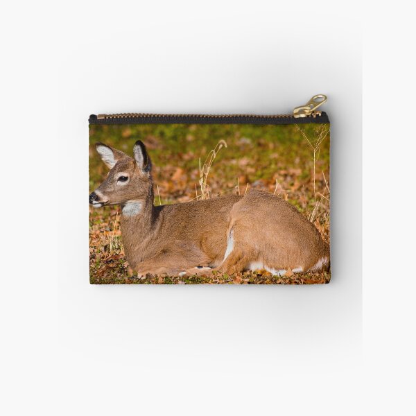 Item preview, White-tailed deer designed and sold by Brad Chambers.