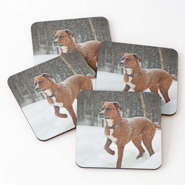 Item preview, Where is that squirrel?? designed and sold by Gisele Bedard.