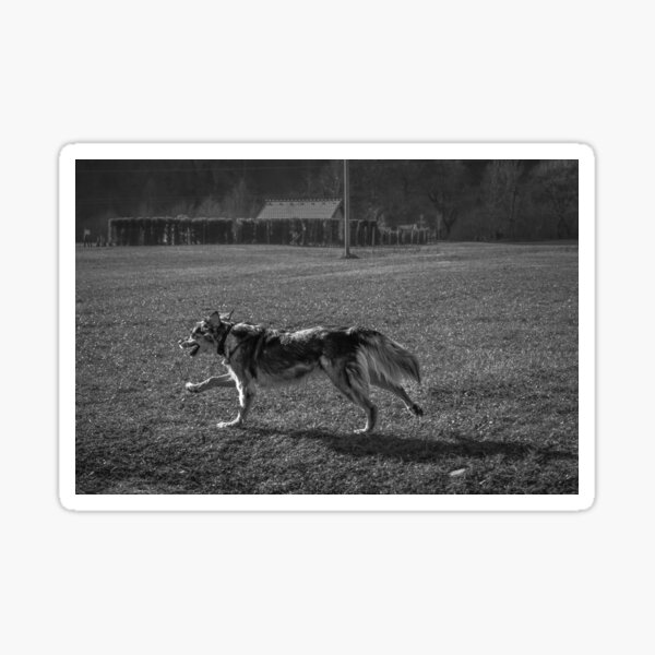 Running dog Sticker
