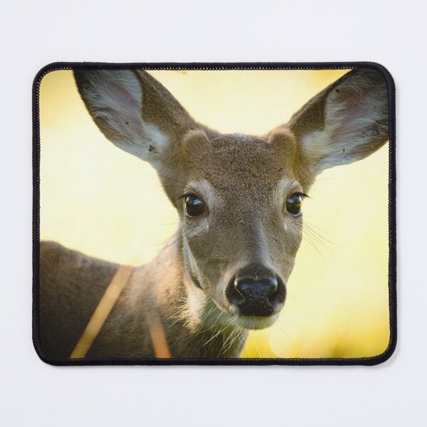 Item preview, White-tailed Deer designed and sold by Brad Chambers.
