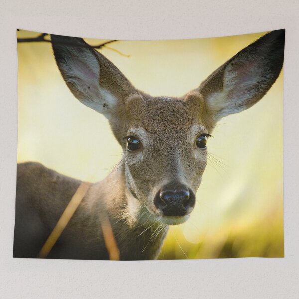 Item preview, White-tailed Deer designed and sold by Brad Chambers.