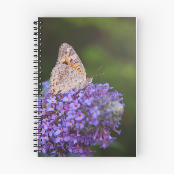 Item preview, Garden Butterfly designed and sold by Katie Cann.