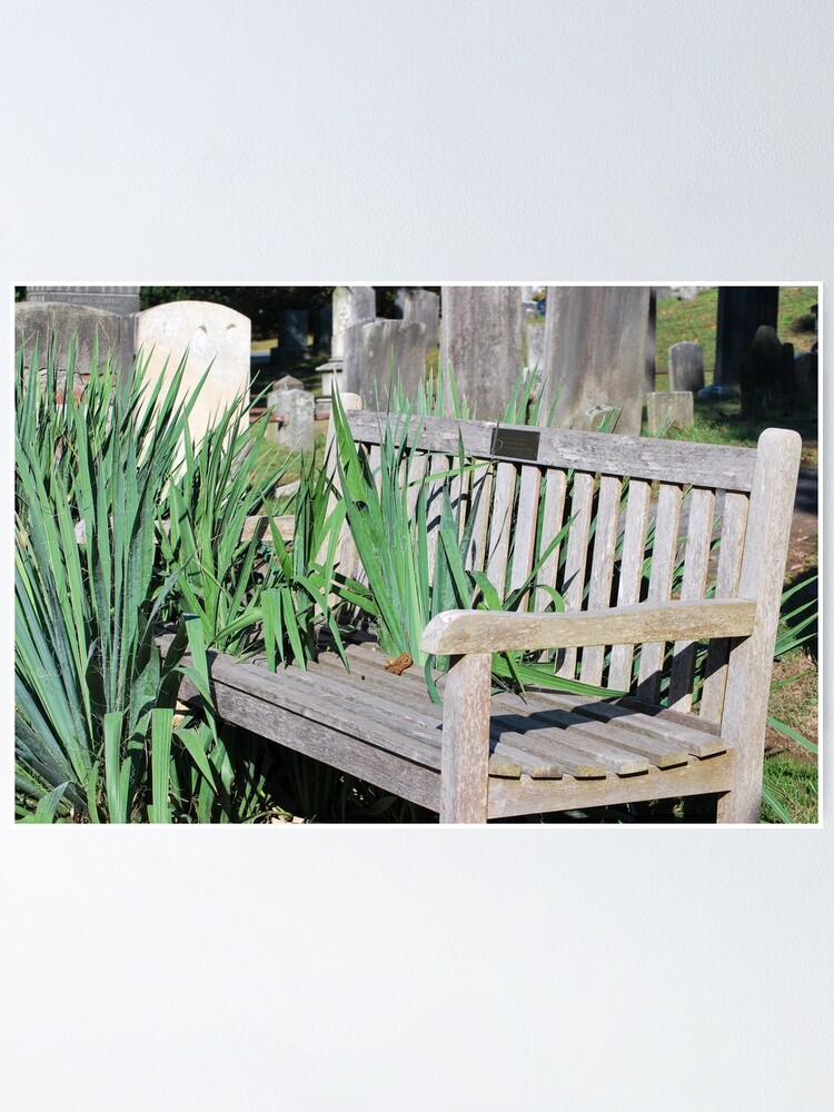 "Nature taking over " Poster for Sale by Awaters14 Redbubble