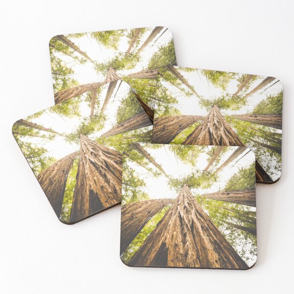 Item preview, Redwoods Above Us designed and sold by jwilsonholmes.