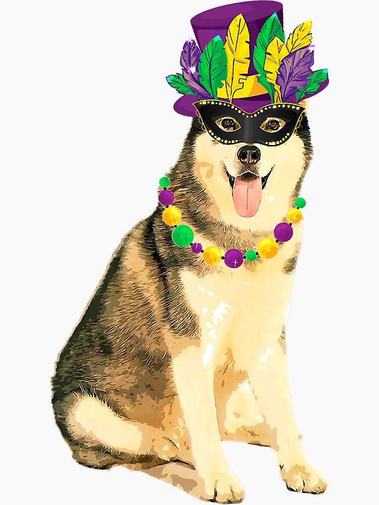 mardi gras costume mask