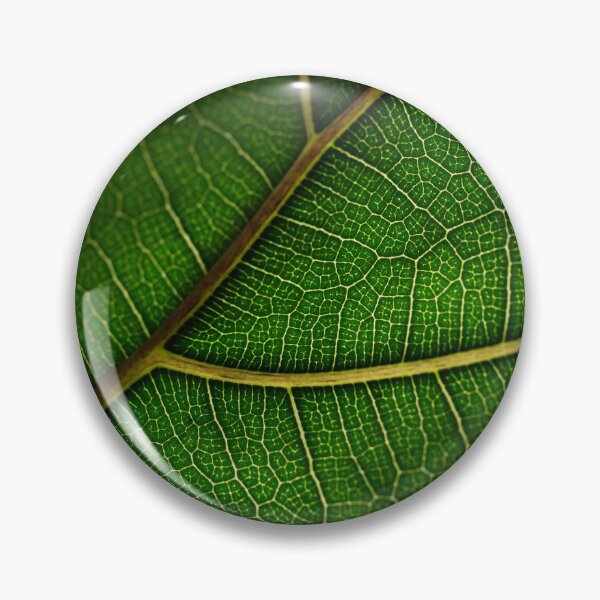 Item preview, Leaf All Around designed and sold by jwilsonholmes.