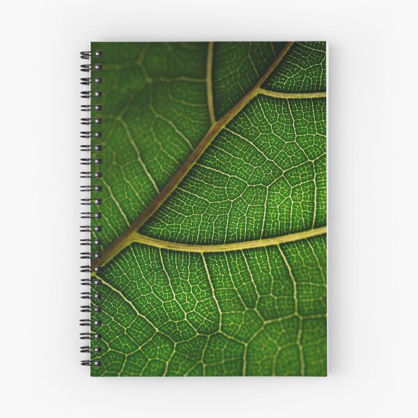 Item preview, Leaf All Around designed and sold by jwilsonholmes.