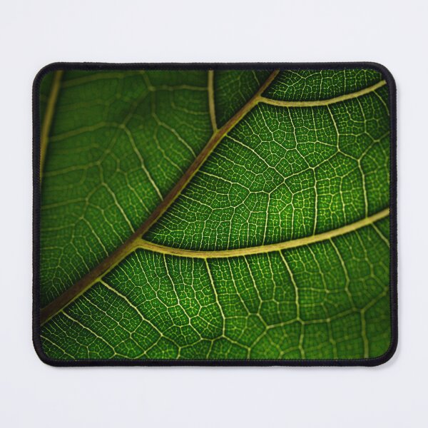 Item preview, Leaf All Around designed and sold by jwilsonholmes.