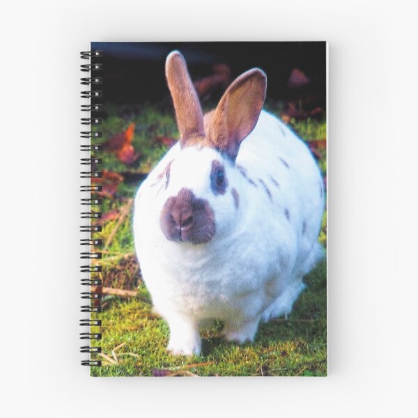 Item preview, Smudge Nose Rabbit.............Somerset UK designed and sold by lynn carter.