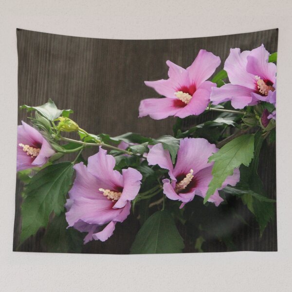 Item preview, Happy Hibiscus designed and sold by heatherfriedman.