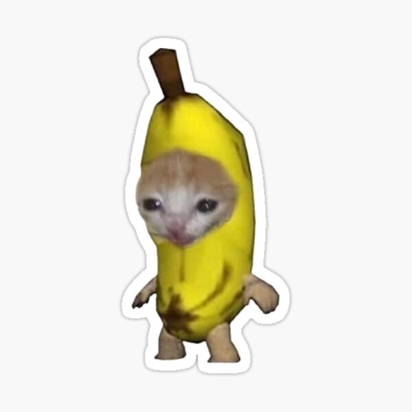 sad cat dancing meme original｜TikTok Search