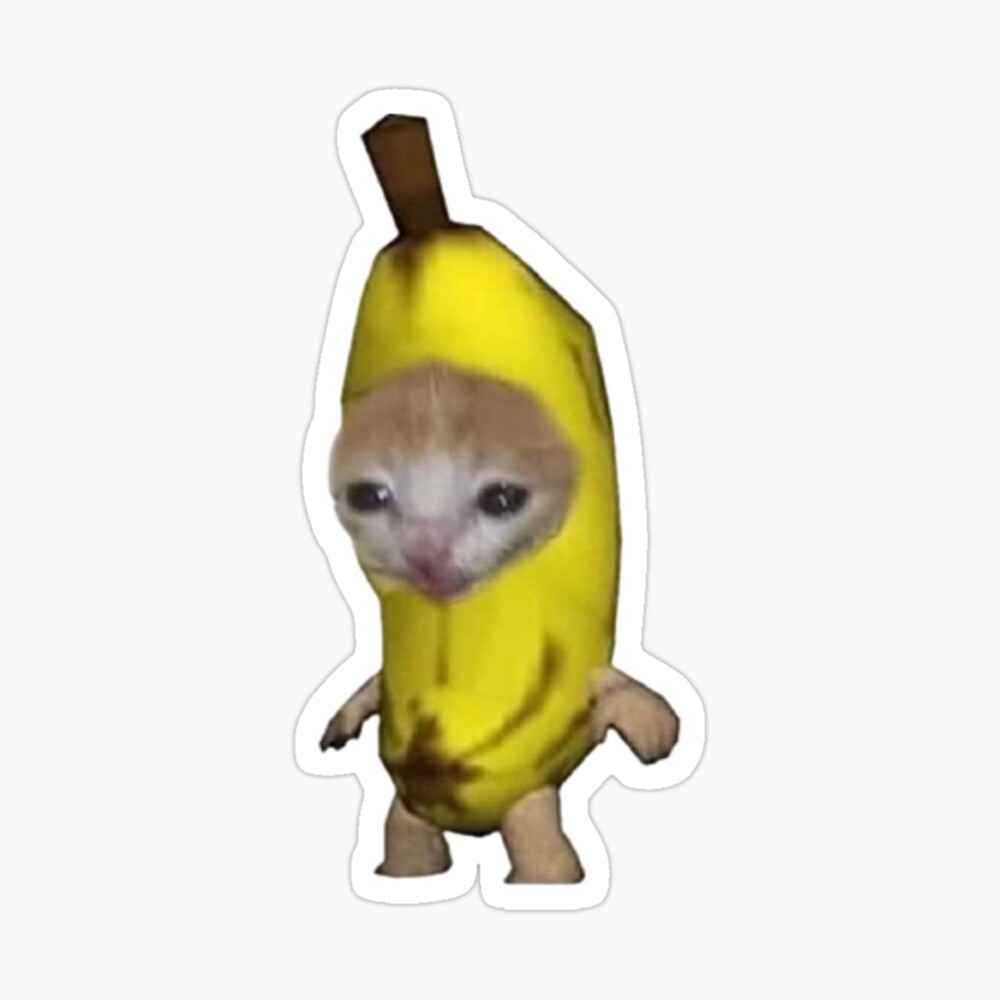 Banana sad cat