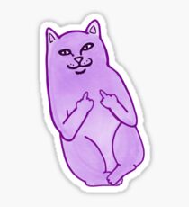Purple Flipping Of Cat Sticker