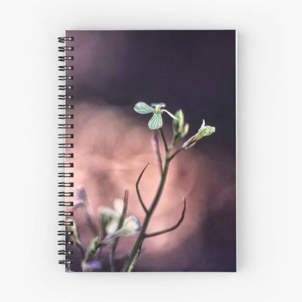 Item preview, Subtle Afternoons designed and sold by Claire Walsh.