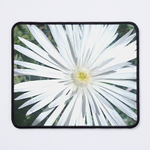 Item preview, Wonderful White designed and sold by KazM.