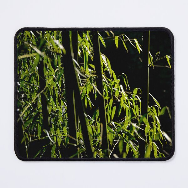 Item preview, Bamboo sticks on dark background designed and sold by kee-bee-shots.
