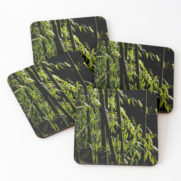 Item preview, Bamboo sticks on dark background designed and sold by kee-bee-shots.