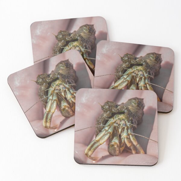 Item preview, Hermit Crab Close Up designed and sold by JulieAnnPix.