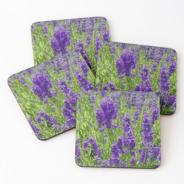Item preview, Purple Shrub designed and sold by NZFloral.