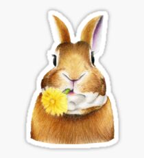Hase Sticker