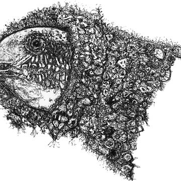 Artwork thumbnail, Gaetana le Blenny by Wildcard-Sue