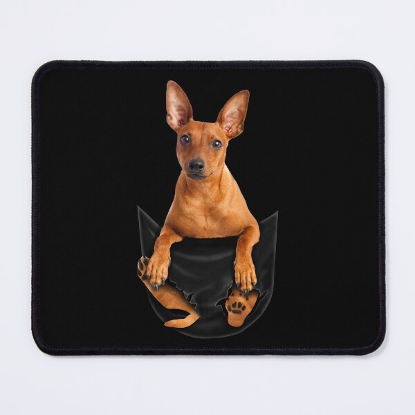 Item preview, Cute Miniature Pinscher Puppy Lover Pinscher Dog In Pocket Meme designed and sold by tuanitus.