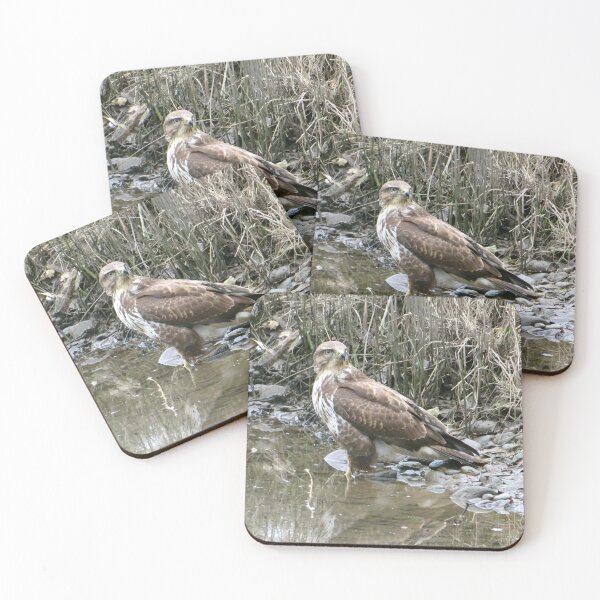 Item preview, buzzard designed and sold by KathleenDawson.